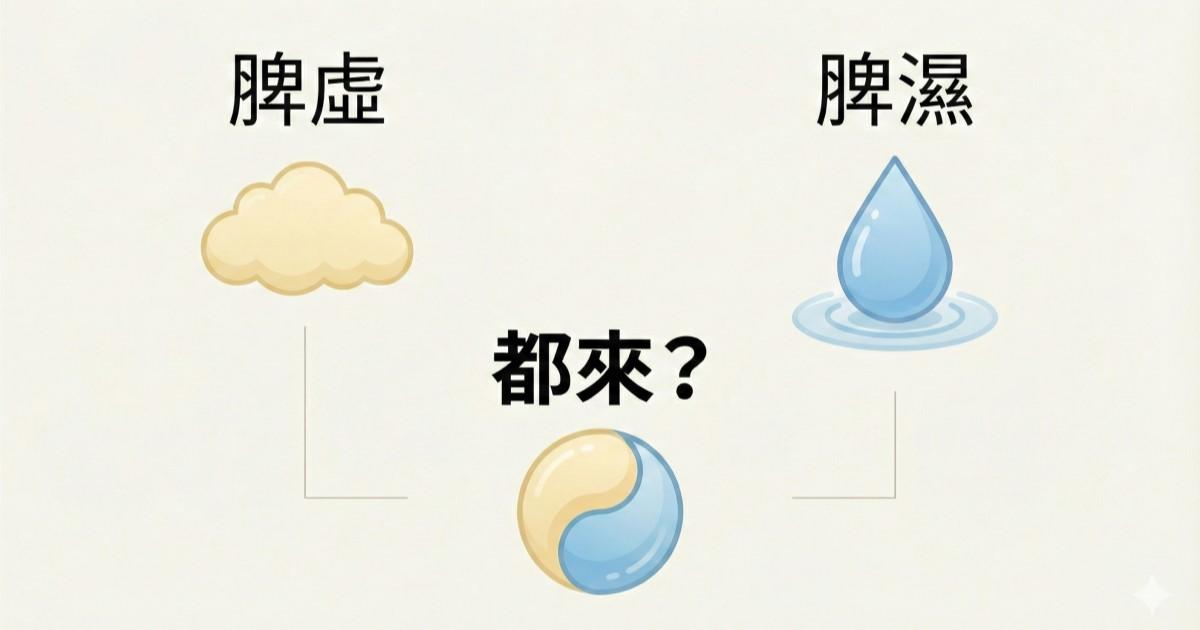 脾虛和脾濕其實不一樣