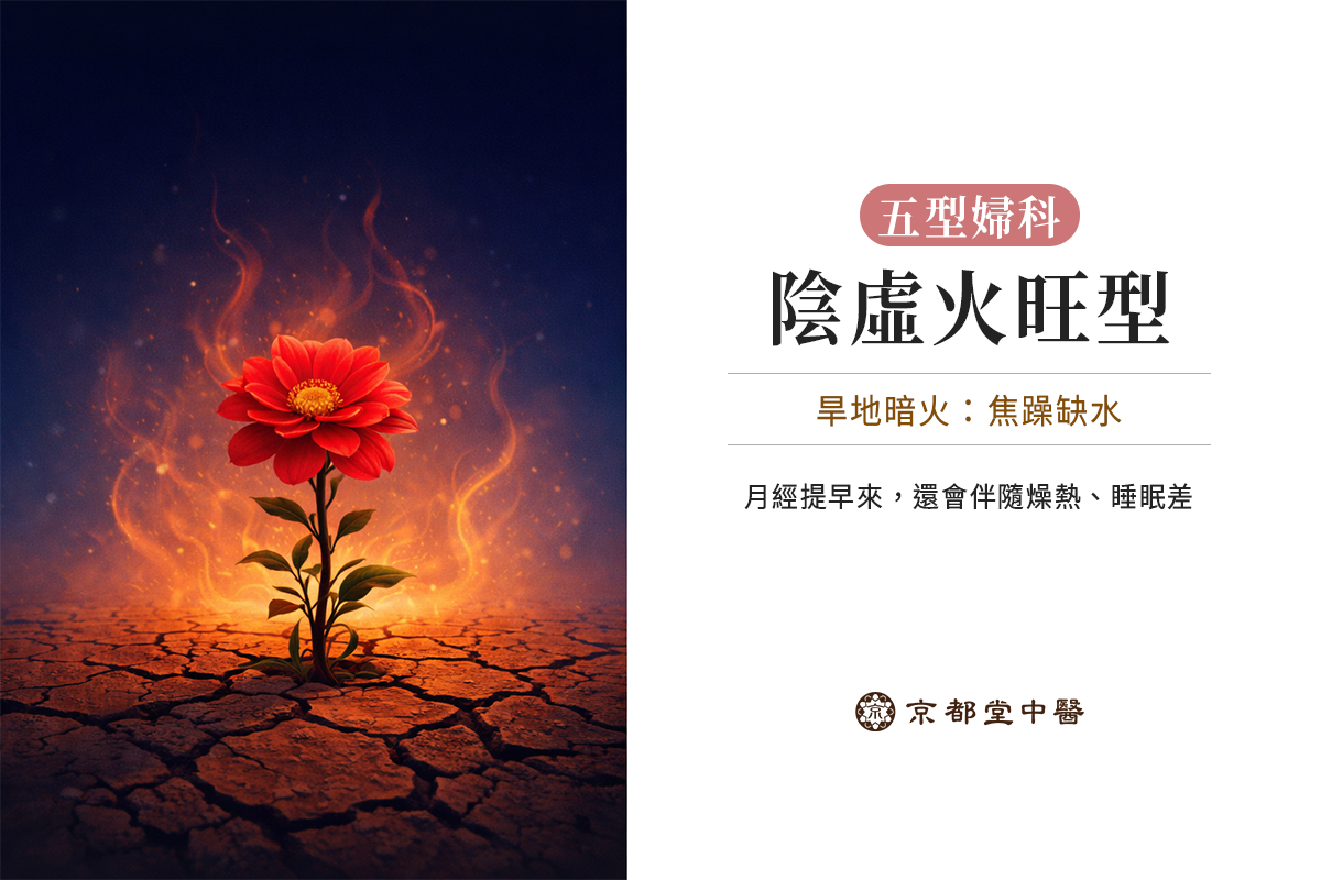 五型婦科：陰虛火旺型