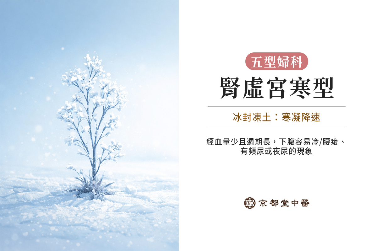 五型婦科：腎虛宮寒型