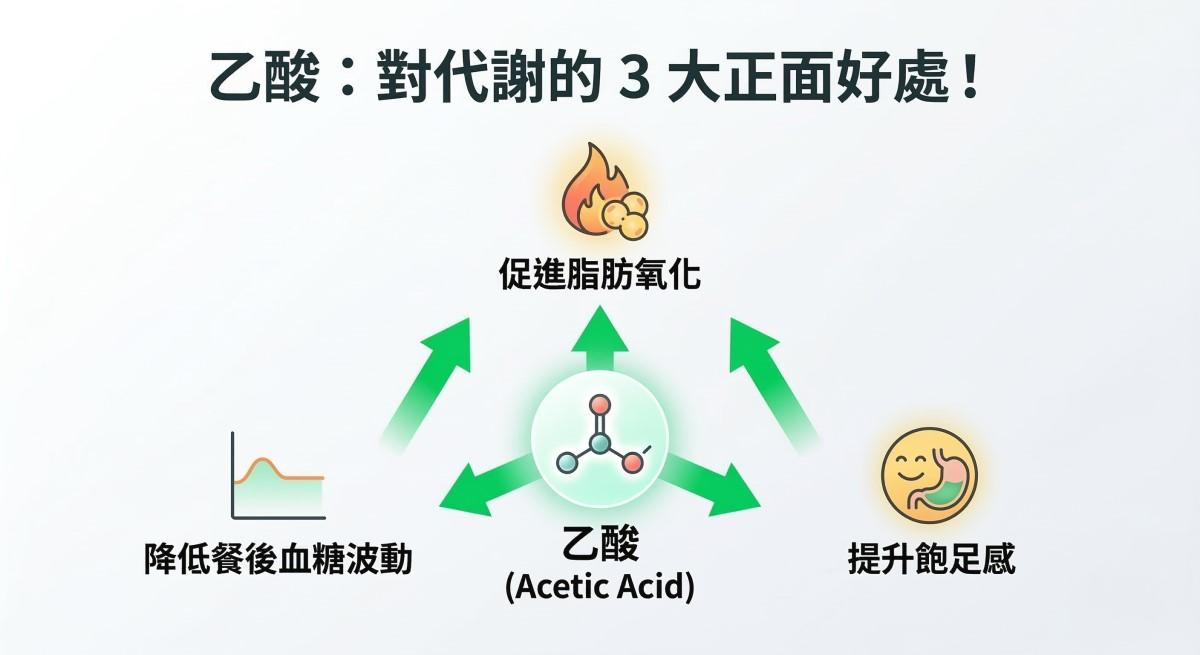 乙酸對代謝的正面好處