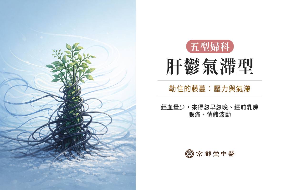 五型婦科：肝鬱氣滯型